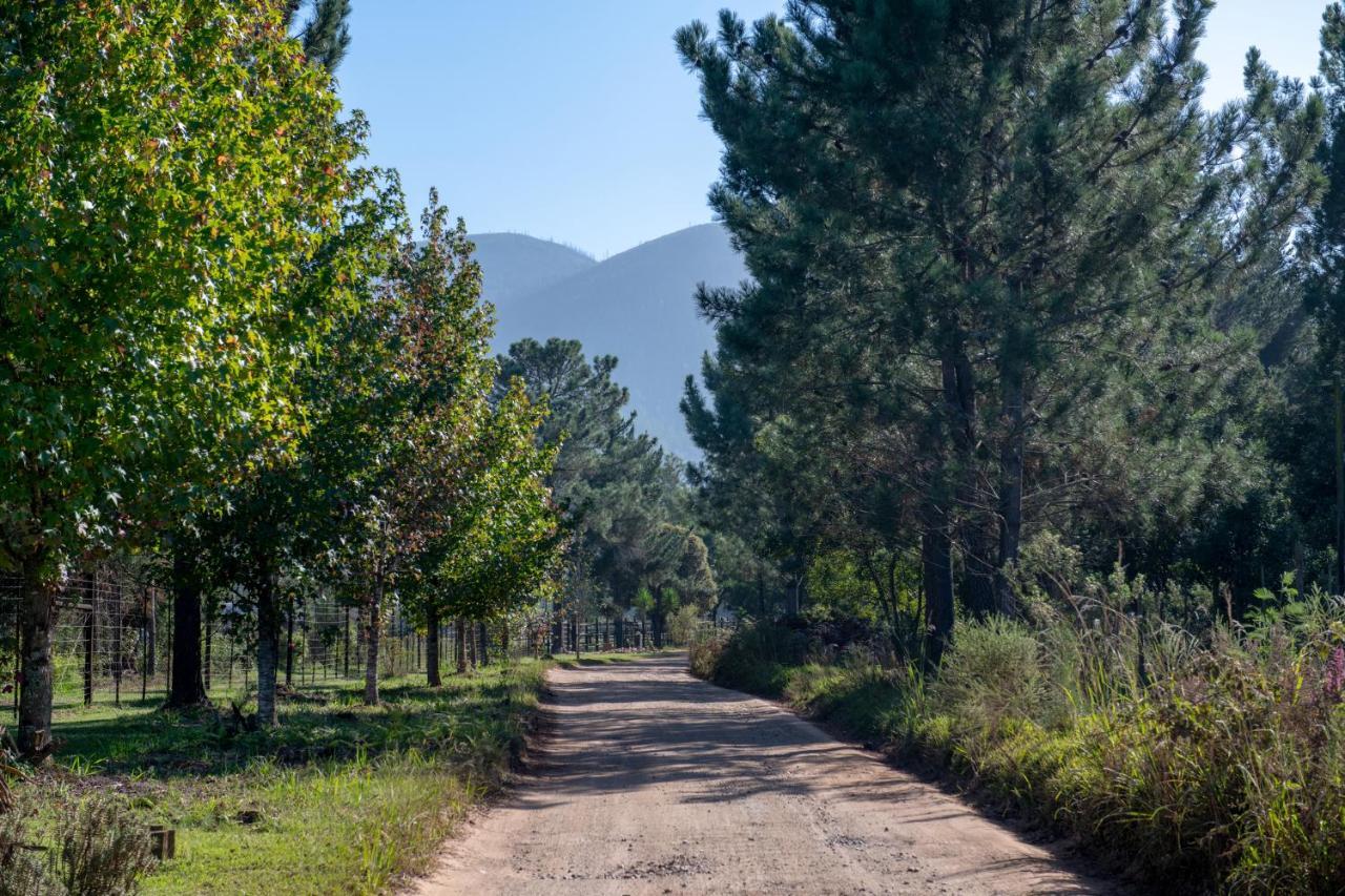 Buffelsdam Country House Kurland Dış mekan fotoğraf